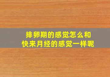 排卵期的感觉怎么和快来月经的感觉一样呢