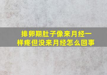 排卵期肚子像来月经一样疼但没来月经怎么回事