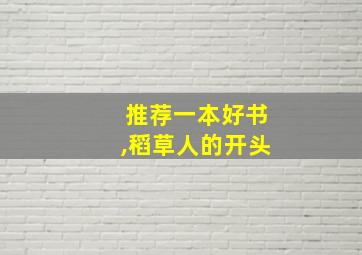 推荐一本好书,稻草人的开头