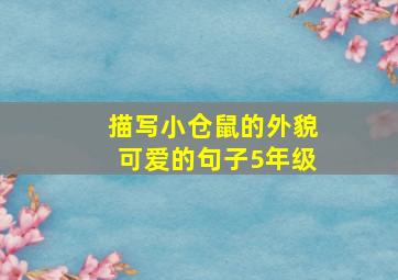 描写小仓鼠的外貌可爱的句子5年级