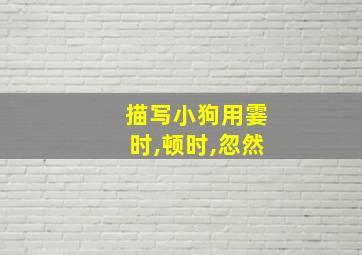 描写小狗用霎时,顿时,忽然