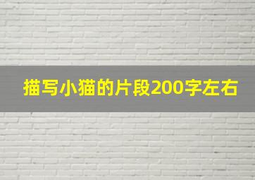 描写小猫的片段200字左右