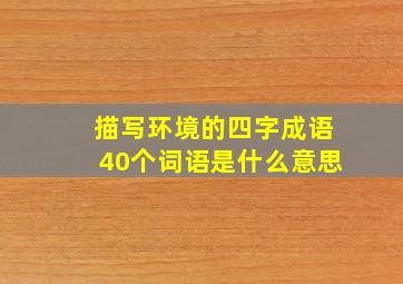 描写环境的四字成语40个词语是什么意思