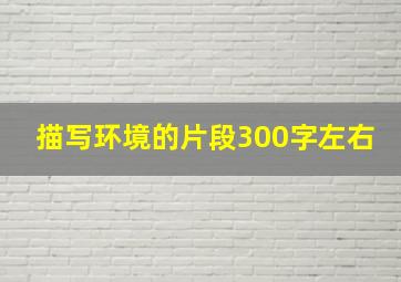 描写环境的片段300字左右