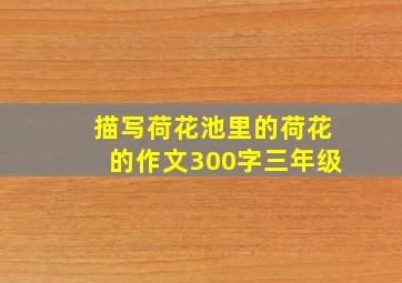 描写荷花池里的荷花的作文300字三年级