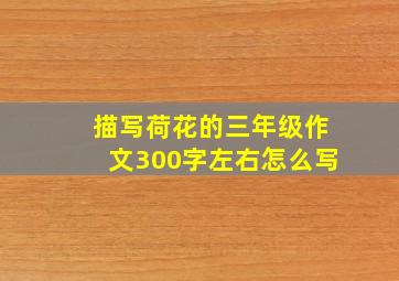 描写荷花的三年级作文300字左右怎么写