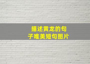 描述黄龙的句子唯美短句图片