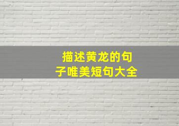 描述黄龙的句子唯美短句大全