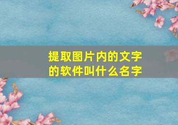 提取图片内的文字的软件叫什么名字