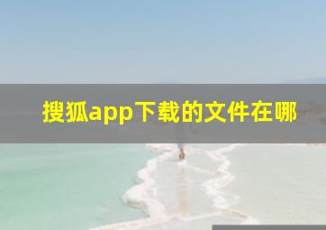 搜狐app下载的文件在哪