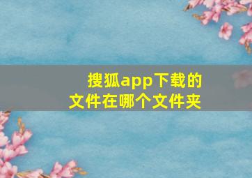 搜狐app下载的文件在哪个文件夹