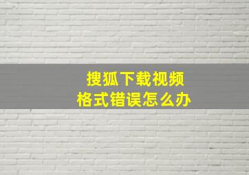 搜狐下载视频格式错误怎么办