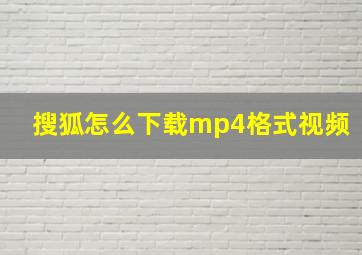 搜狐怎么下载mp4格式视频