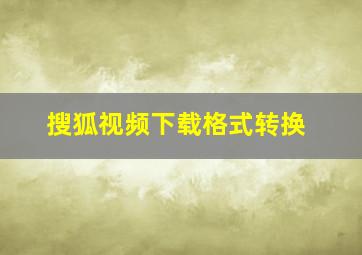 搜狐视频下载格式转换