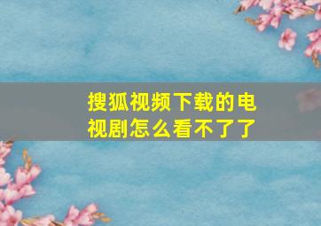 搜狐视频下载的电视剧怎么看不了了