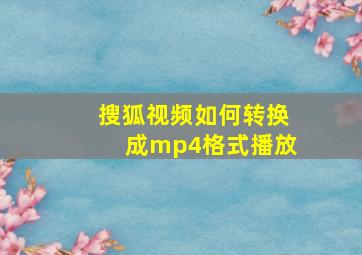 搜狐视频如何转换成mp4格式播放