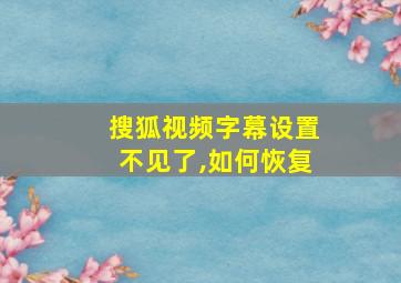 搜狐视频字幕设置不见了,如何恢复