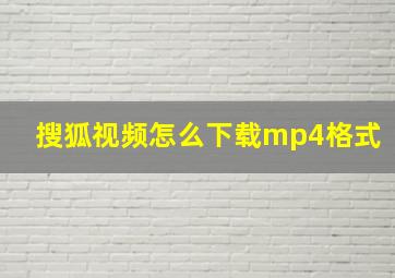 搜狐视频怎么下载mp4格式