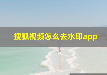 搜狐视频怎么去水印app