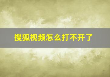 搜狐视频怎么打不开了