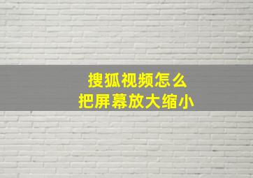 搜狐视频怎么把屏幕放大缩小