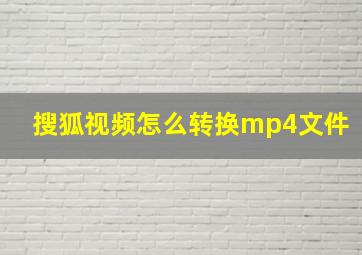 搜狐视频怎么转换mp4文件