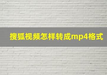 搜狐视频怎样转成mp4格式