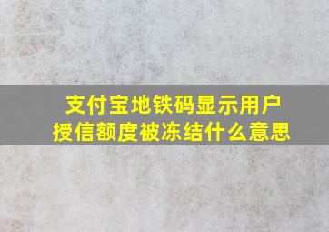 支付宝地铁码显示用户授信额度被冻结什么意思