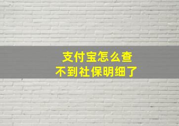 支付宝怎么查不到社保明细了