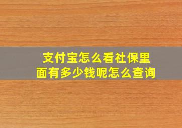 支付宝怎么看社保里面有多少钱呢怎么查询