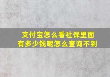 支付宝怎么看社保里面有多少钱呢怎么查询不到