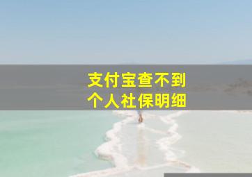 支付宝查不到个人社保明细