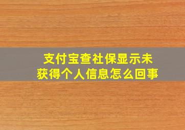 支付宝查社保显示未获得个人信息怎么回事