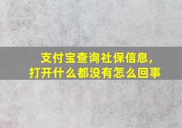 支付宝查询社保信息,打开什么都没有怎么回事