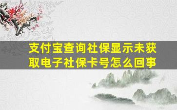 支付宝查询社保显示未获取电子社保卡号怎么回事