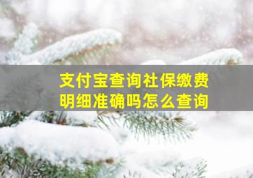 支付宝查询社保缴费明细准确吗怎么查询