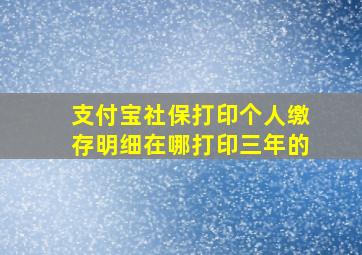 支付宝社保打印个人缴存明细在哪打印三年的