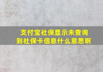 支付宝社保显示未查询到社保卡信息什么意思啊