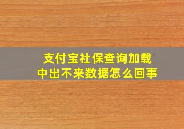 支付宝社保查询加载中出不来数据怎么回事