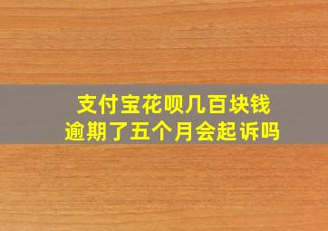 支付宝花呗几百块钱逾期了五个月会起诉吗