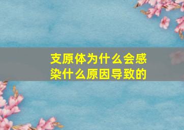 支原体为什么会感染什么原因导致的