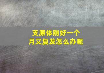 支原体刚好一个月又复发怎么办呢