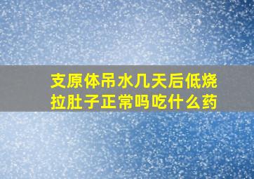 支原体吊水几天后低烧拉肚子正常吗吃什么药