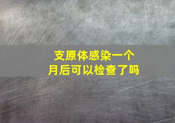 支原体感染一个月后可以检查了吗