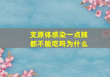 支原体感染一点辣都不能吃吗为什么