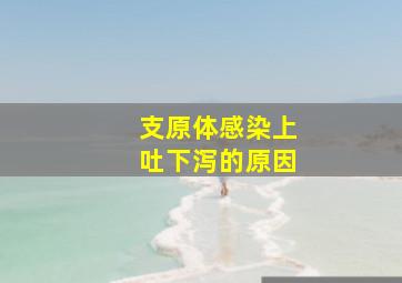 支原体感染上吐下泻的原因