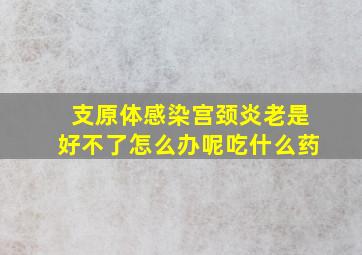 支原体感染宫颈炎老是好不了怎么办呢吃什么药