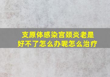 支原体感染宫颈炎老是好不了怎么办呢怎么治疗