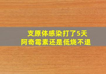 支原体感染打了5天阿奇霉素还是低烧不退