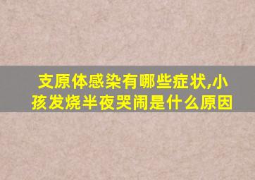 支原体感染有哪些症状,小孩发烧半夜哭闹是什么原因